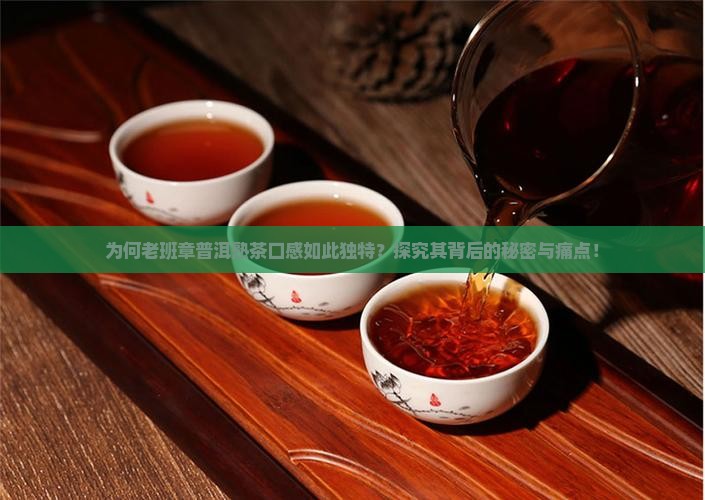为何老班章普洱熟茶口感如此独特？探究其背后的秘密与痛点！