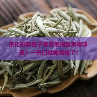 茶化石碎银子普洱茶喝起来啥味道？一开口就被惊艳了！