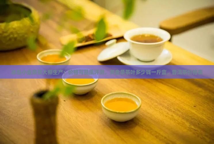 冰岛小金条茶大棚生产：价格与品质评测，黄金条茶叶多少钱一斤盒，普洱茶价格表