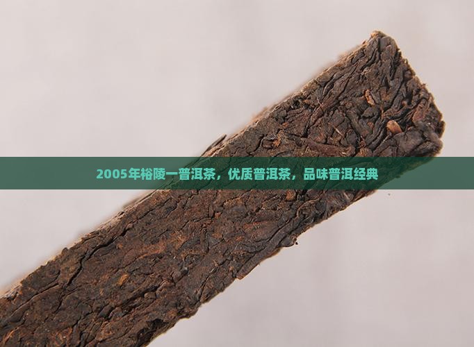 2005年裕陵一普洱茶,优质普洱茶,品味普洱经典 2005年裕陵一普洱茶,优质普洱茶,品味普洱经典