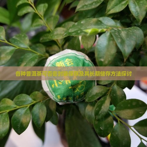各种普洱茶可否密封袋保存及其长期储存方法探讨