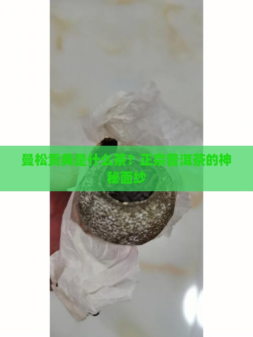 曼松贡典是什么茶?正宗普洱茶的神秘面纱 曼松贡典是什么茶?正宗普洱茶的神秘面纱