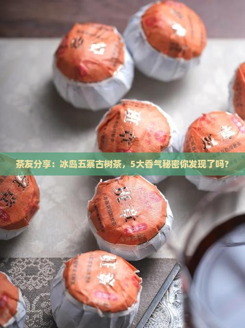 茶友分享：冰岛五寨古树茶，5大香气秘密你发现了吗？