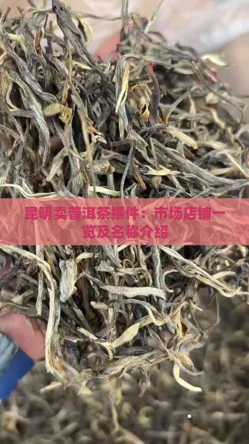 昆明卖普洱茶摆件：市场店铺一览及名称介绍
