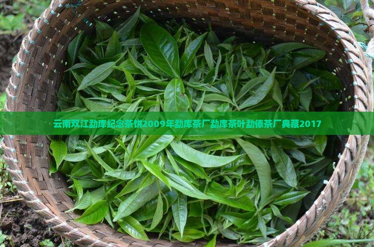 云南双江勐库纪念茶饼2009年勐库茶厂勐库茶叶勐傣茶厂典藏2017