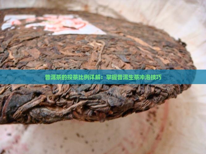 普洱茶的投茶比例详解：掌握普洱生茶冲泡技巧