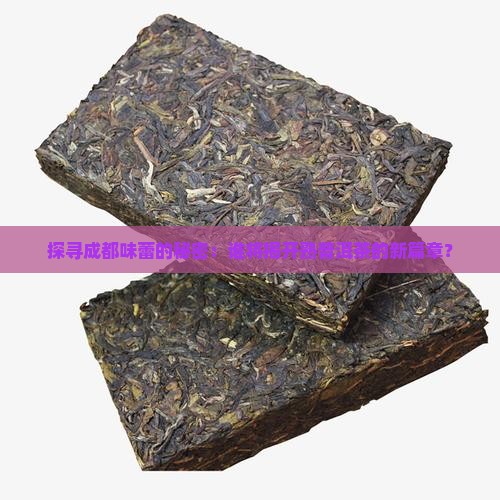 探寻成都味蕾的秘密：谁将揭开熟普洱茶的新篇章？