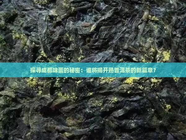 探寻成都味蕾的秘密：谁将揭开熟普洱茶的新篇章？