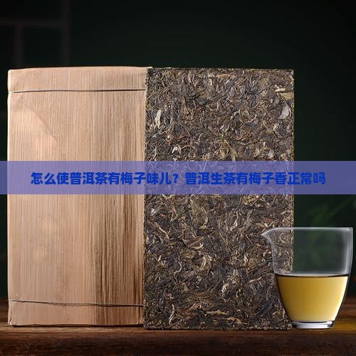 怎么使普洱茶有梅子味儿？普洱生茶有梅子香正常吗
