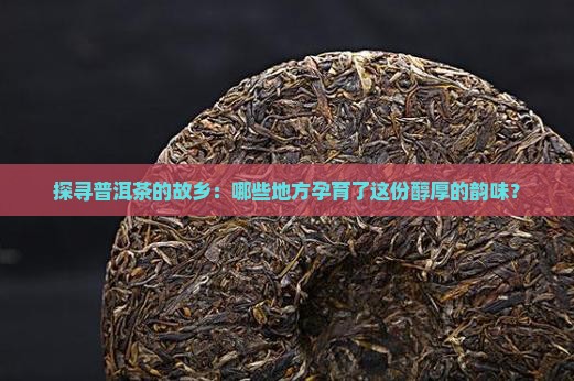 探寻普洱茶的故乡：哪些地方孕育了这份醇厚的韵味？