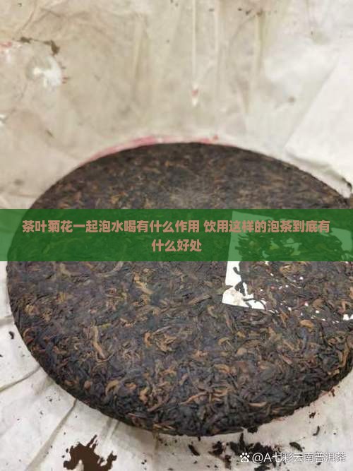 茶叶菊花一起泡水喝有什么作用 饮用这样的泡茶到底有什么好处