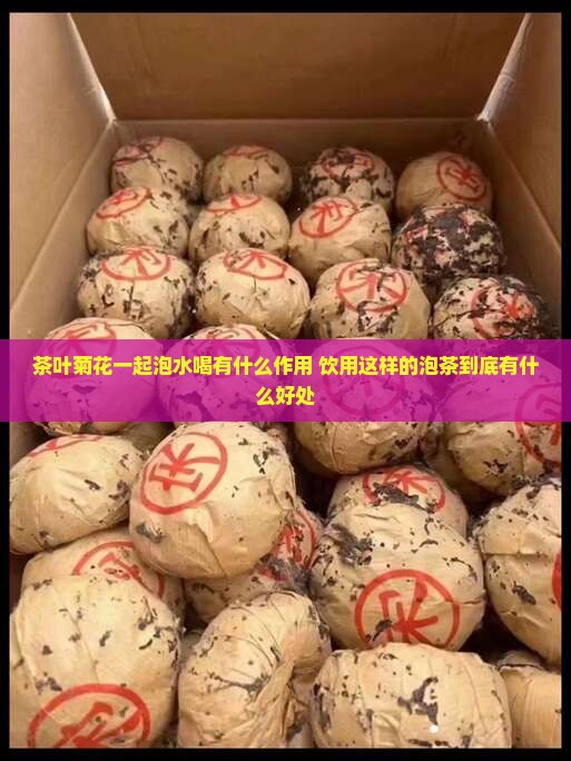茶叶菊花一起泡水喝有什么作用 饮用这样的泡茶到底有什么好处