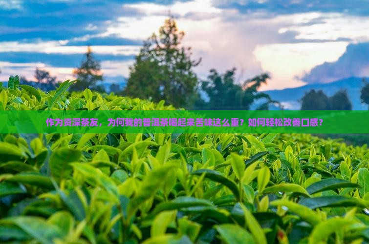 作为资深茶友，为何我的普洱茶喝起来苦味这么重？如何轻松改善口感？