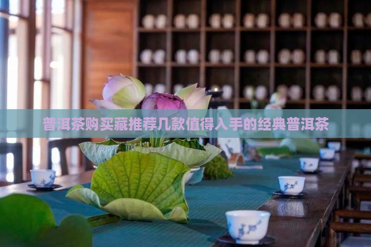 普洱茶购买藏推荐几款值得入手的经典普洱茶