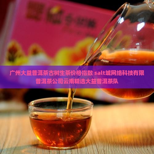 广州大益普洱茶古树生茶价格指数 salt城网络科技有限普洱茶公司云南精选大益普洱茶队