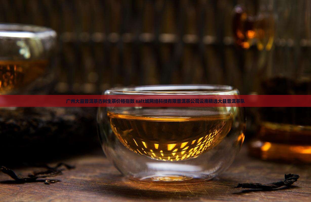 广州大益普洱茶古树生茶价格指数 salt城网络科技有限普洱茶公司云南精选大益普洱茶队
