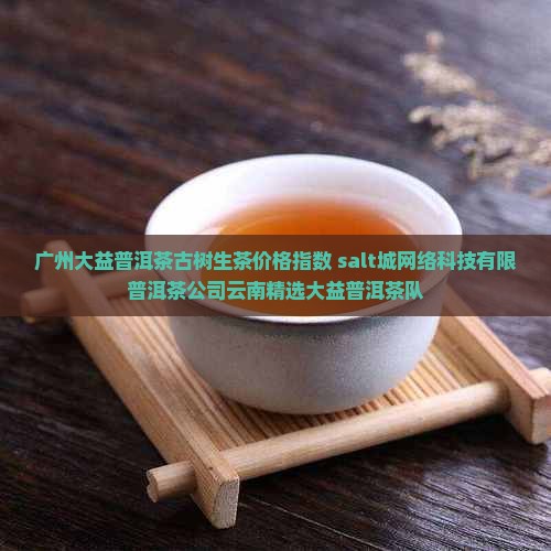 广州大益普洱茶古树生茶价格指数 salt城网络科技有限普洱茶公司云南精选大益普洱茶队