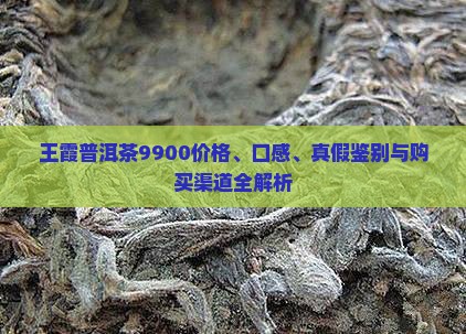 王霞普洱茶9900价格、口感、真假鉴别与购买渠道全解析