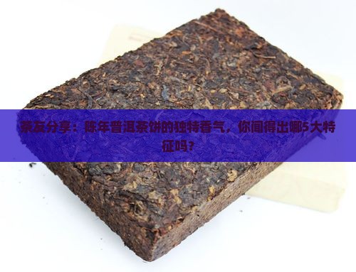 茶友分享：陈年普洱茶饼的独特香气，你闻得出哪5大特征吗？