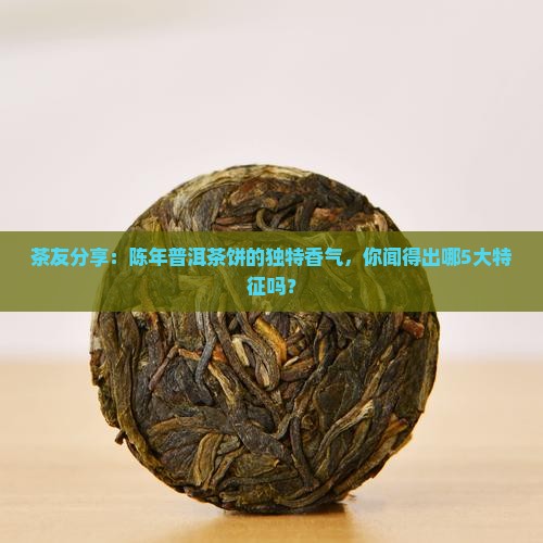 茶友分享：陈年普洱茶饼的独特香气，你闻得出哪5大特征吗？
