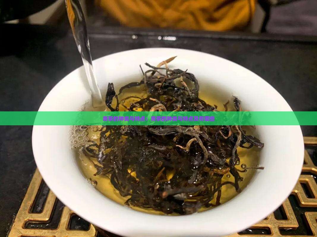 青茶的种类与特点：青茶的种类与特点及有哪些