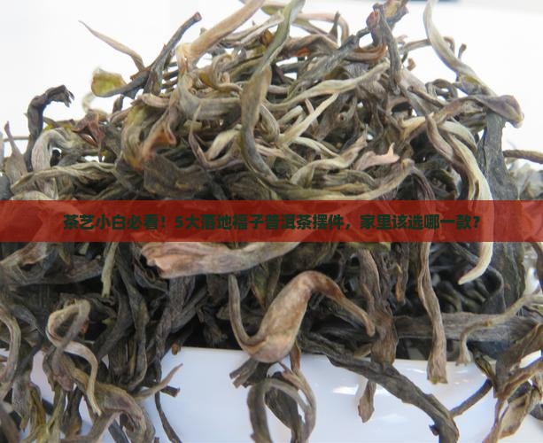 茶艺小白必看！5大落地福子普洱茶摆件，家里该选哪一款？