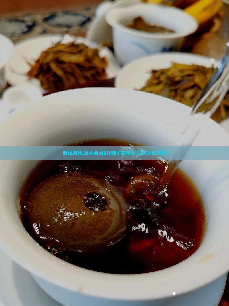 普洱茶出现黄点可以喝吗 女生可以喝吗有毒吗