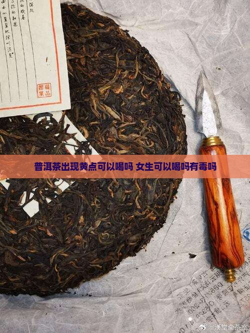 普洱茶出现黄点可以喝吗 女生可以喝吗有毒吗
