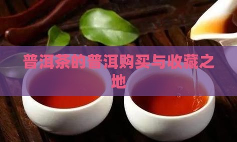 普洱茶购买藏最多的地方