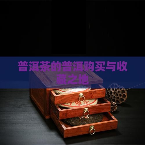 普洱茶购买藏最多的地方
