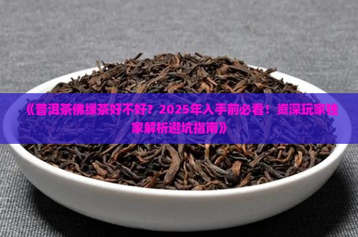 普洱茶佛缘茶好不好