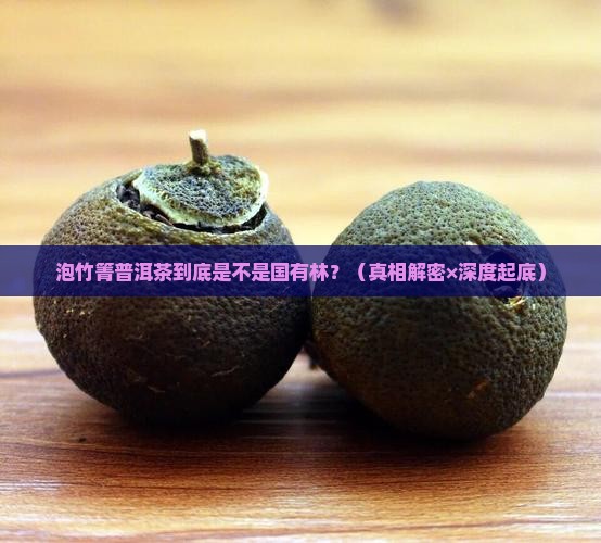 泡竹箐普洱茶是不是国有林