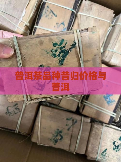 灿烂昔归普洱茶