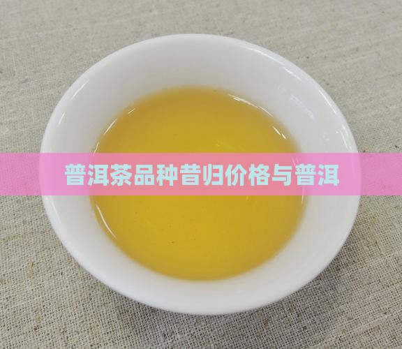 灿烂昔归普洱茶