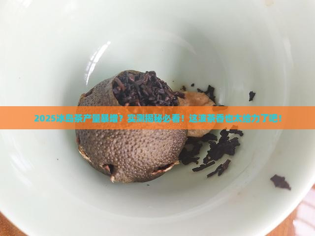 今年冰岛茶产量多多