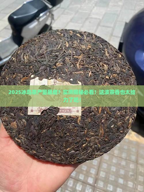 今年冰岛茶产量多多
