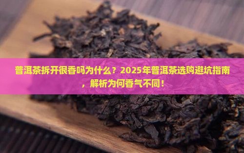 普洱茶拆开很香吗为什么