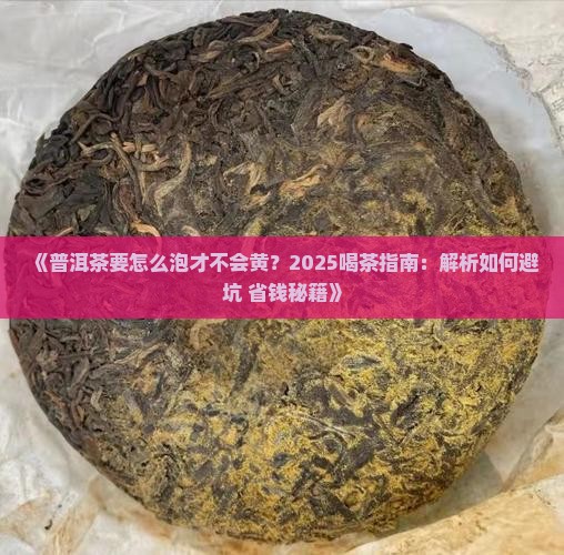 普洱茶要怎么泡才不会黄