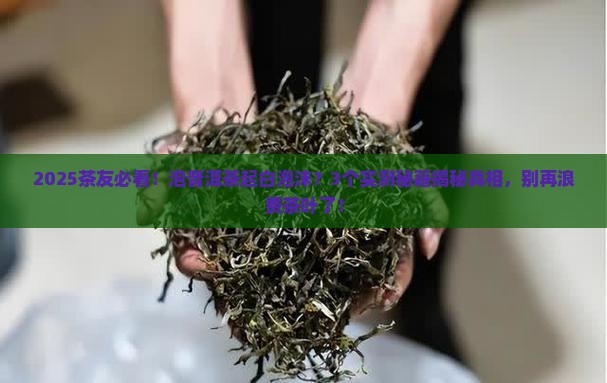 普洱茶热水泡起白泡沫