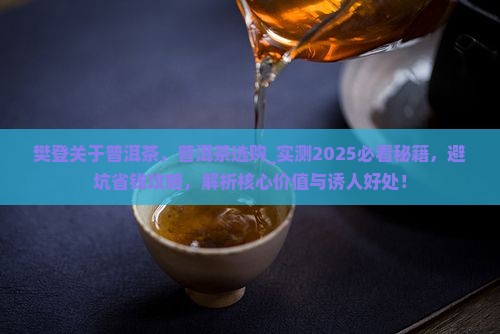 樊登关于普洱茶