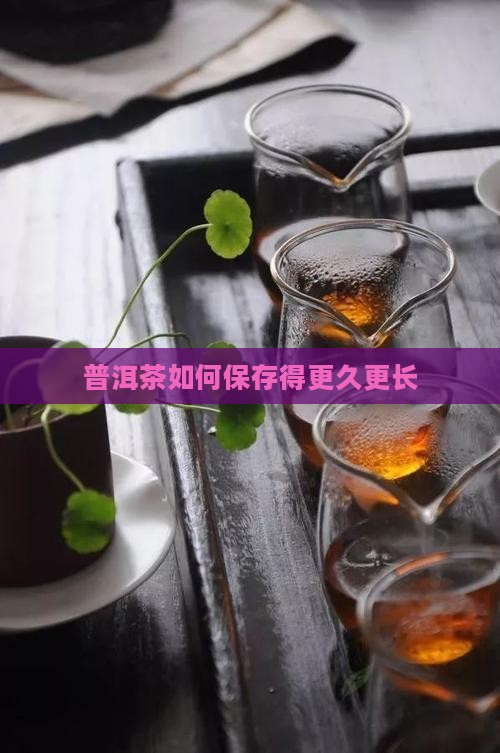 普洱茶如何保存得更久更长
