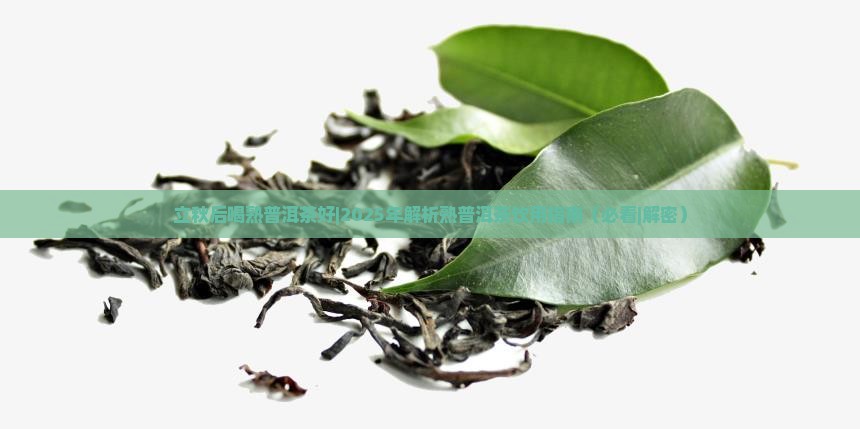 立秋后喝熟普洱茶好