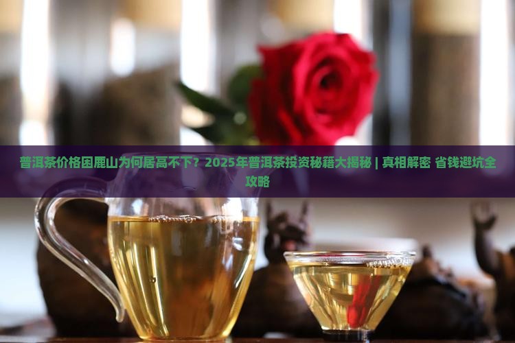普洱茶价格困鹿山