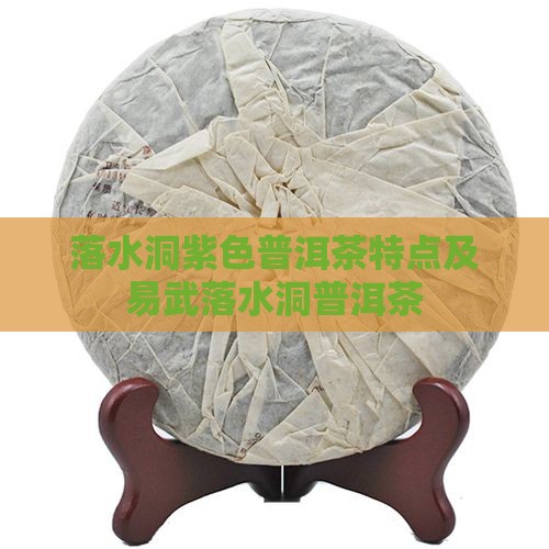 落水洞紫色普洱茶