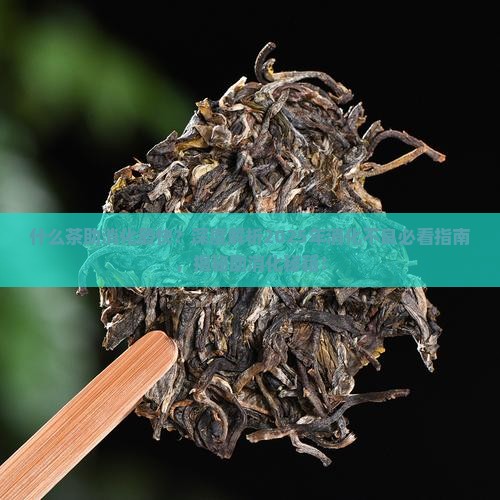 什么茶助消化最快