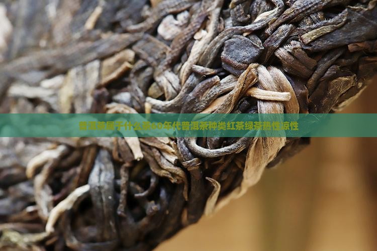 普洱茶属于什么茶6