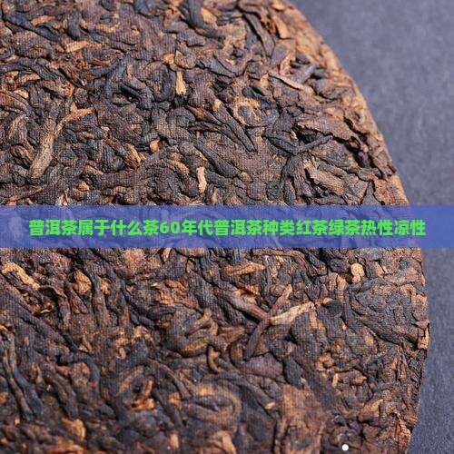 普洱茶属于什么茶6