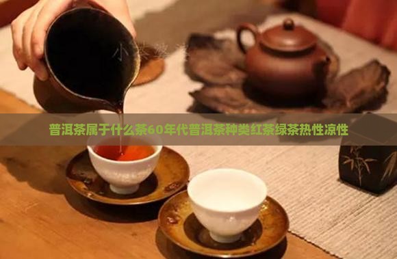 普洱茶属于什么茶6
