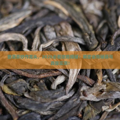 普洱茶炒作龙头