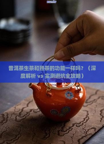 普洱茶分生茶和熟茶功能一样吗